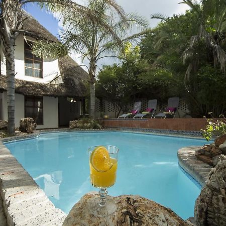 Out Of Africa Guesthouse Otjiwarongo Buitenkant foto